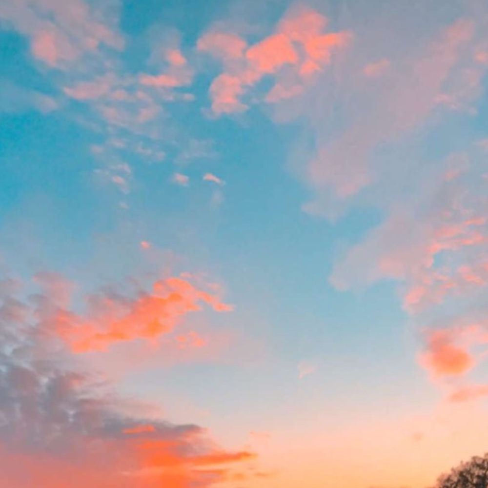 Meet your Posher, Anahi